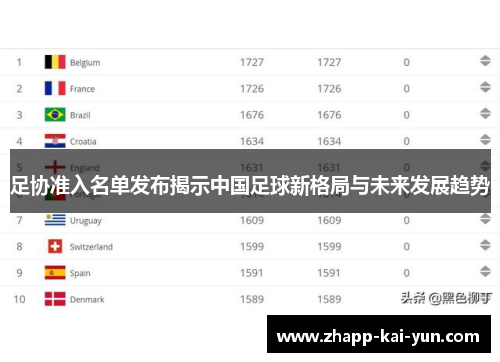 足协准入名单发布揭示中国足球新格局与未来发展趋势