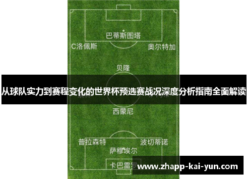 从球队实力到赛程变化的世界杯预选赛战况深度分析指南全面解读 从球队实力到赛程变化的世界杯预选赛战况深度分析指南全面解读